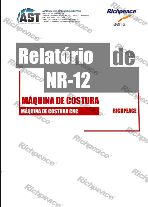 Relatório?-?Máquina?de?Costura?-?REV2（检测报告）